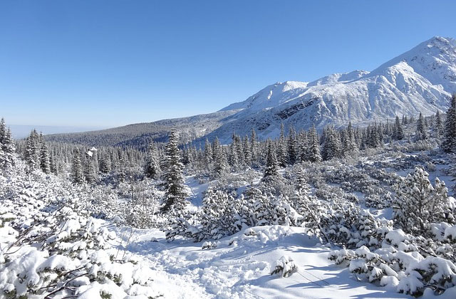 L'hiver polonais